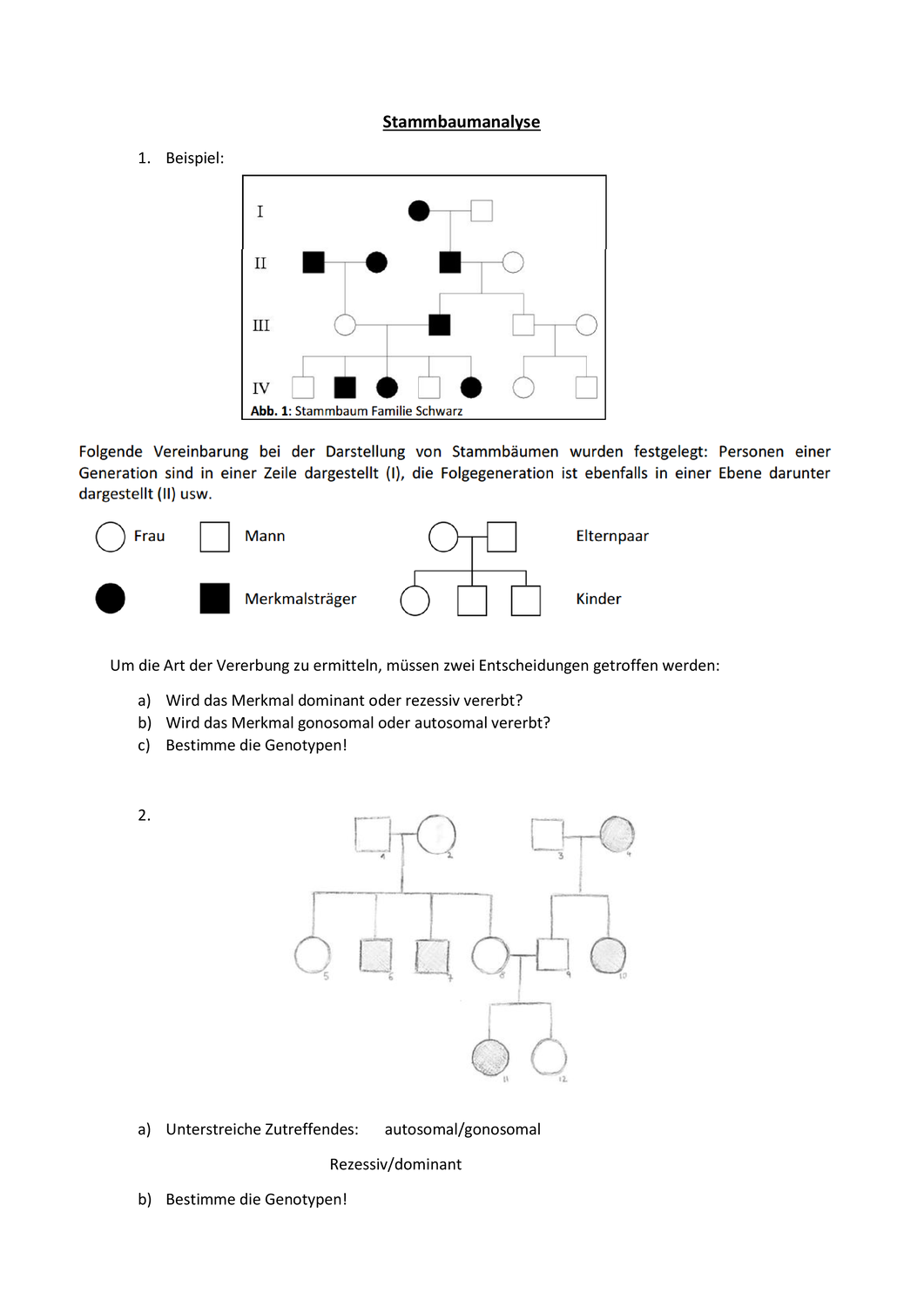 Arbeitsblatt Stammbaumanalyse Unterrichtsmaterial Im Fach Biologie Stammbaum Arbeitsblatter Biologie