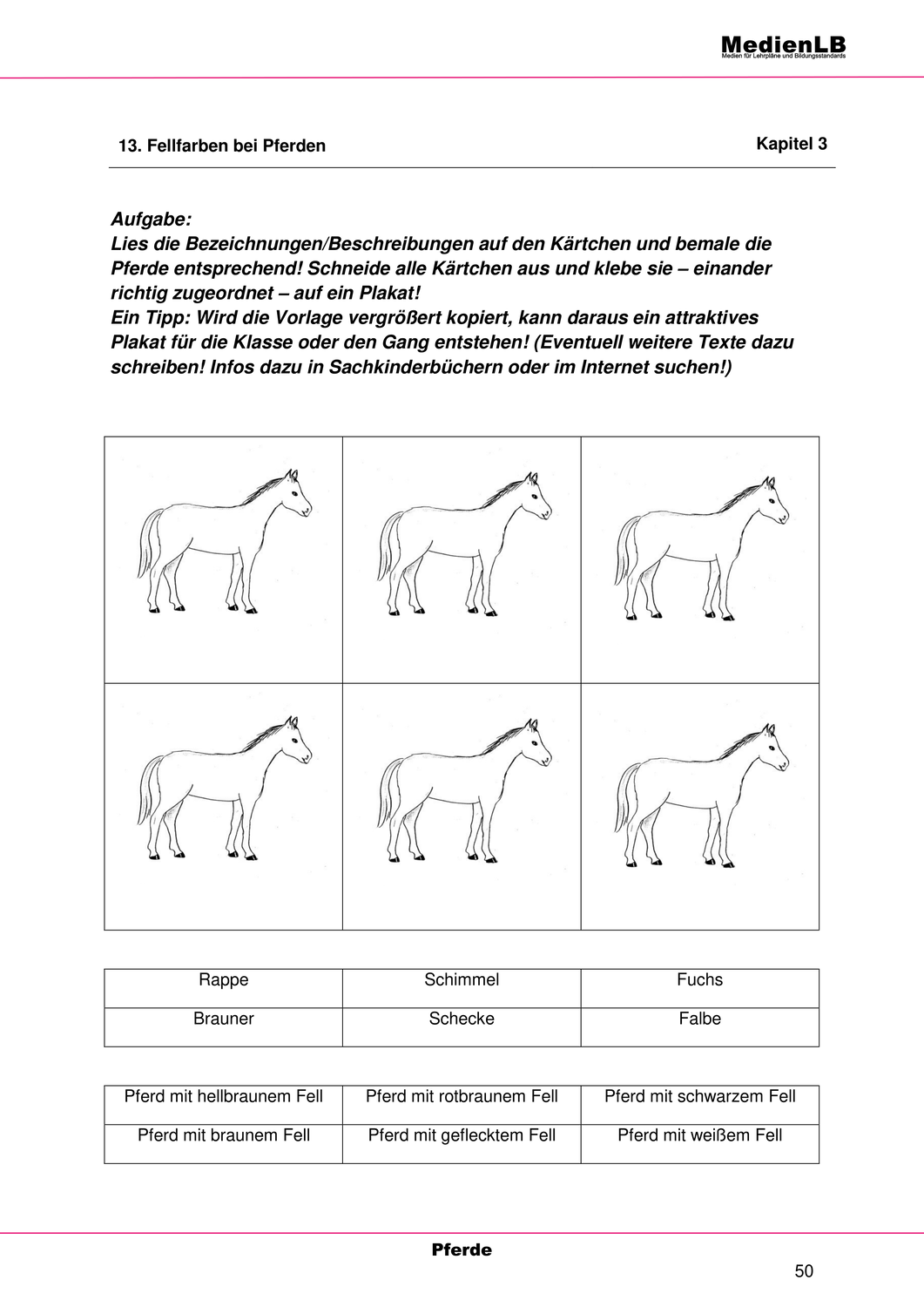Fellfarbung Von Pferden Unterrichtsmaterial Pferd Sachunterricht Grundschule