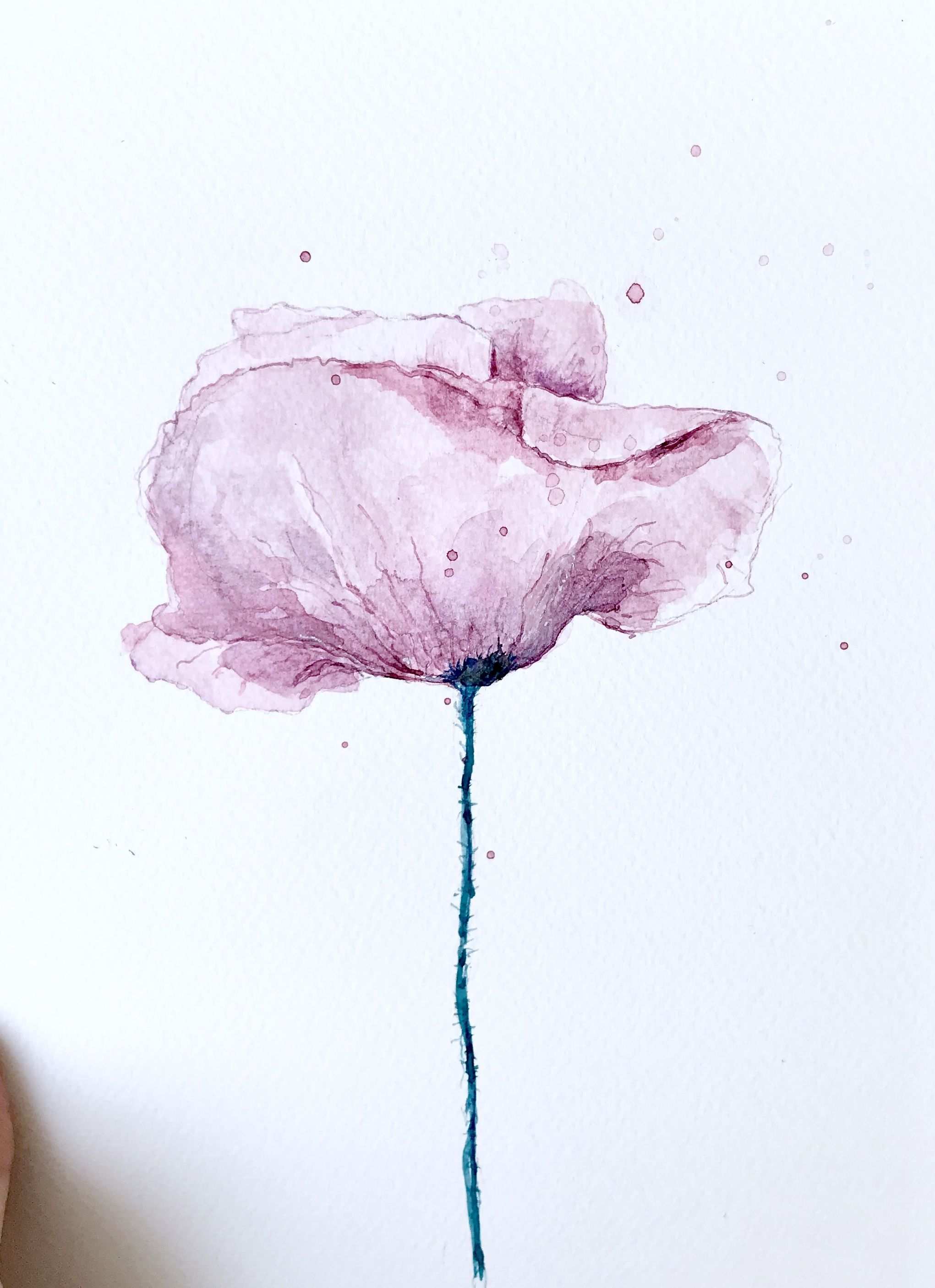 Pink Poppy Flower Watercolour Painting Aquarell Ideen Blumen Aquarell Aquarell Malen