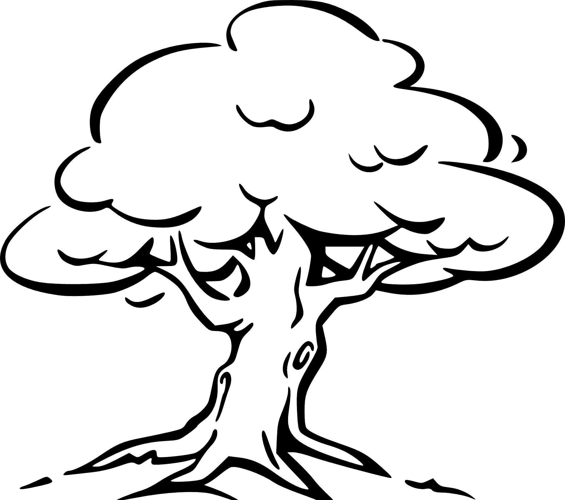 Baum Mit Wurzeln Ausmalbild Malvorlagen Baum Zeichnung Ausmalbilder