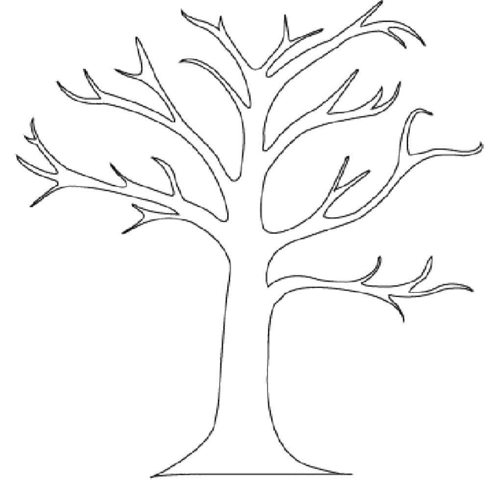Ten Grossartig Malvorlage Baum Gedanke 2020 In 2020 Baum Umriss Baume Zeichnen Herbst Ausmalvorlagen