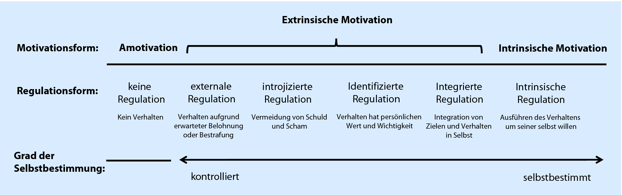 Intrinsische Motivation Im Kontext Sport Und Bewegung Springerlink