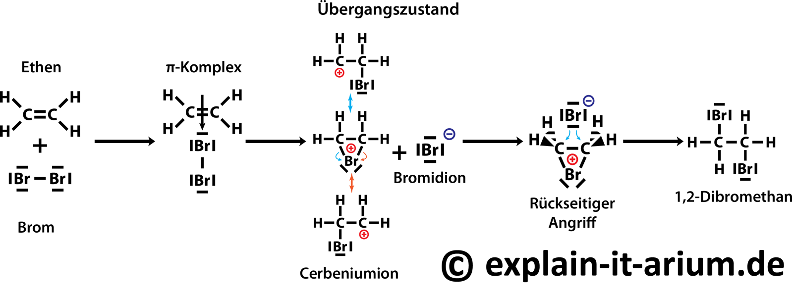 Organische Chemie 16 Elektrophile Additions Eliminierungsreaktion Explain It Arium