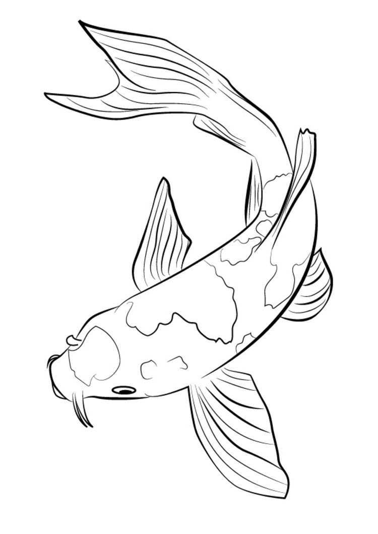 Ein Karpfen Oder Auch Koi Als Grafik Koi Kunst Fische Zeichnen Zeichnung Tutorial