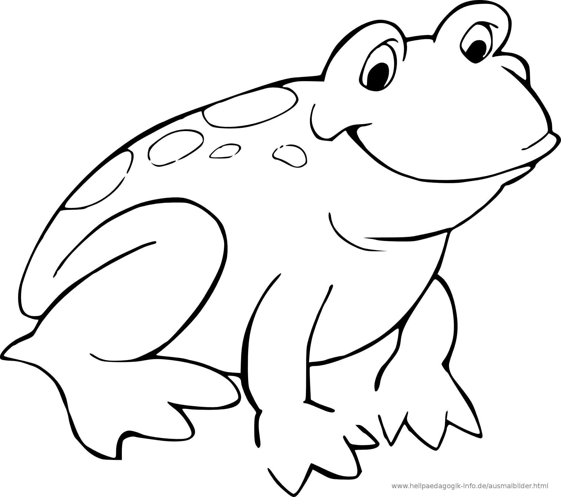 Malvorlagen Frosch In 2020 Malvorlage Prinzessin Kostenlose Ausmalbilder Frosch Zeichnung