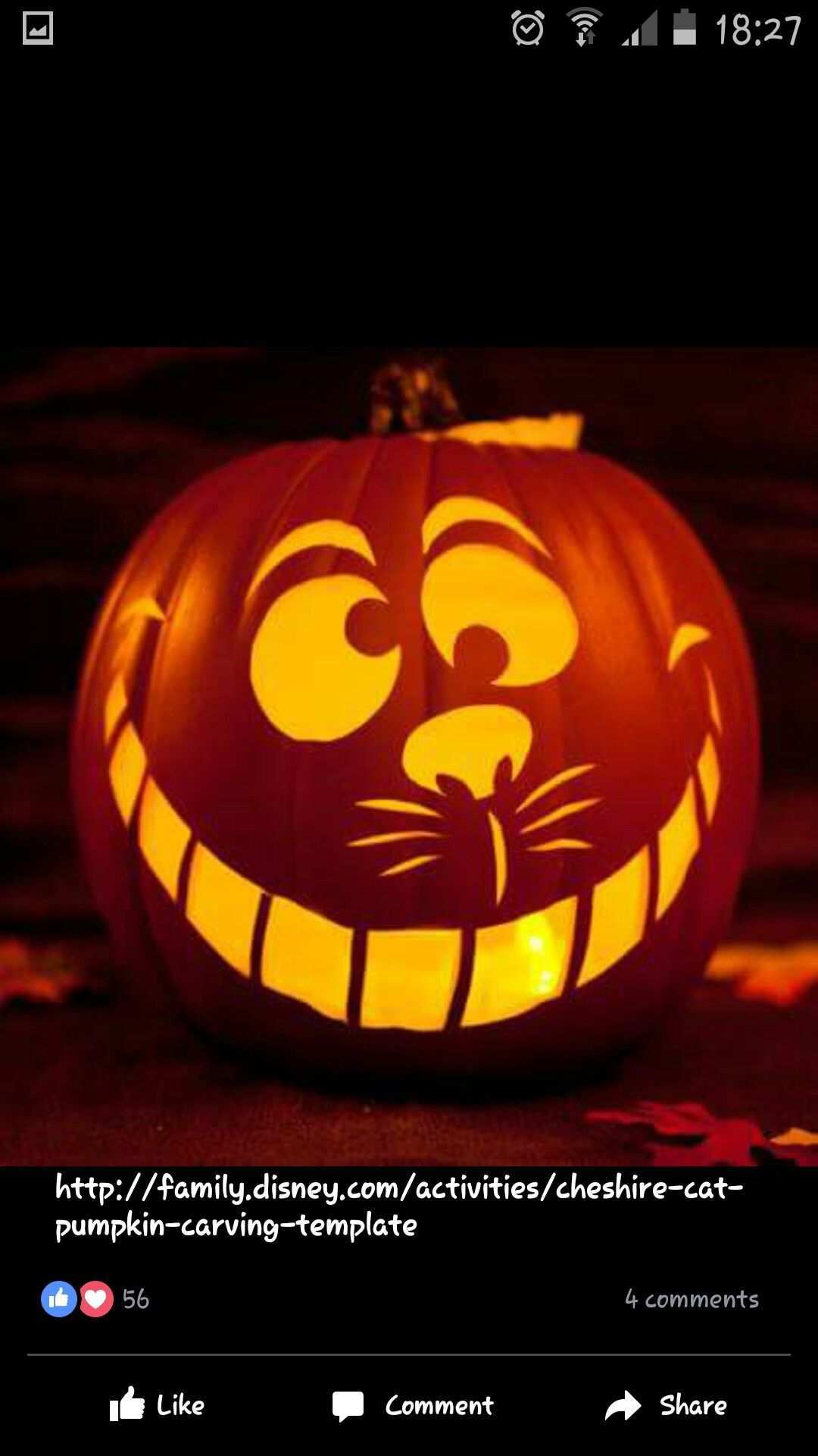 Cheshire Cat Pumpkin Kurbis Schnitzen Lustig Halloween Kurbis Schnitzen Kurbisse Schnitzen