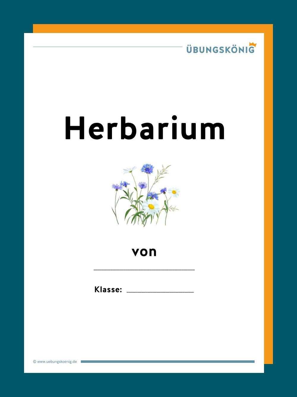 Herbarium In 2020 Herbarium Vorlage Genaues Lesen Biologie