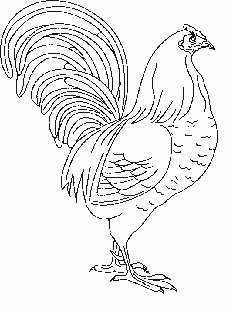 Pin By Hans Peter On Coloring Raskraski Chicken Coloring Pages Chicken Coloring Animal Coloring Pages