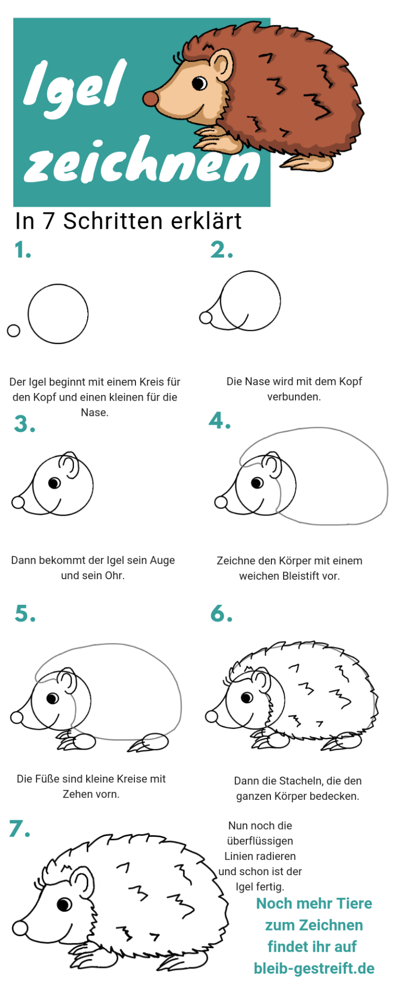 Igel Zeichnen Lernen Eine Anleitung In 7 Einfachen Schritten Zeichnen Lernen Fur Kinder Zeichnen Lernen Zeichnen Anleitung