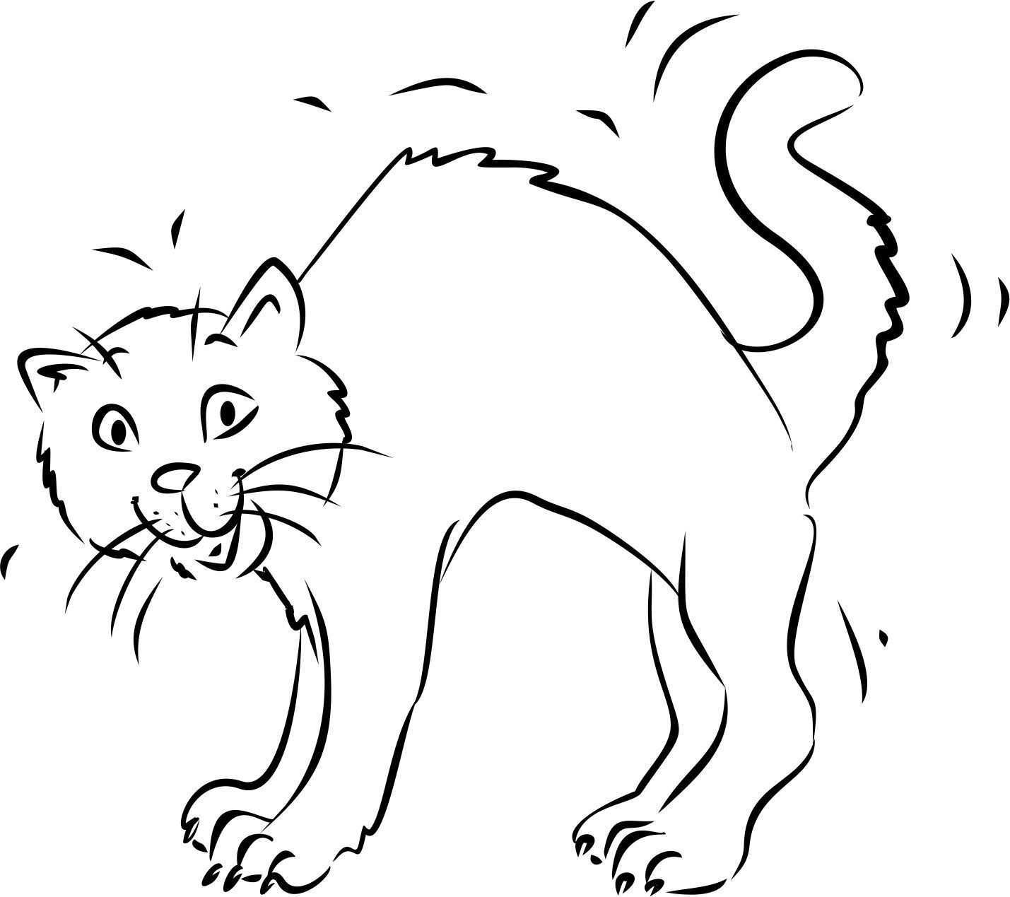 Katze Mit Buckel Malvorlage Katze Tiere Zeichnen Zeichenvorlagen