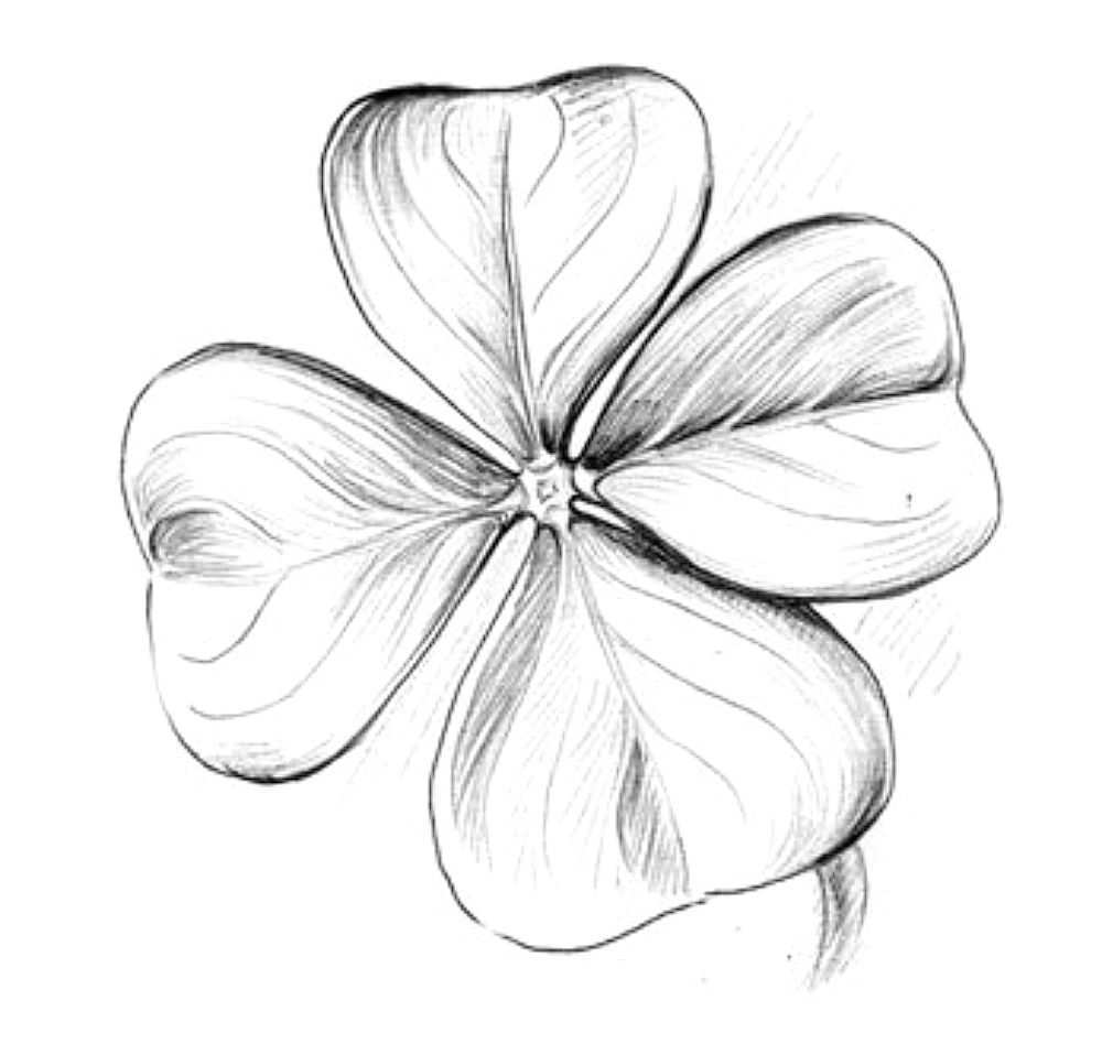 Kleeblatt Kleeblatt Zeichnen Blumen Zeichnen Kleeblatt Tattoo