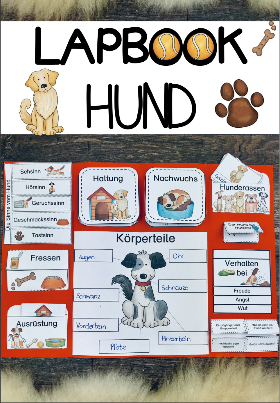 Lapbook Hund Lernheft Schulhund Sachunterricht Grundschule