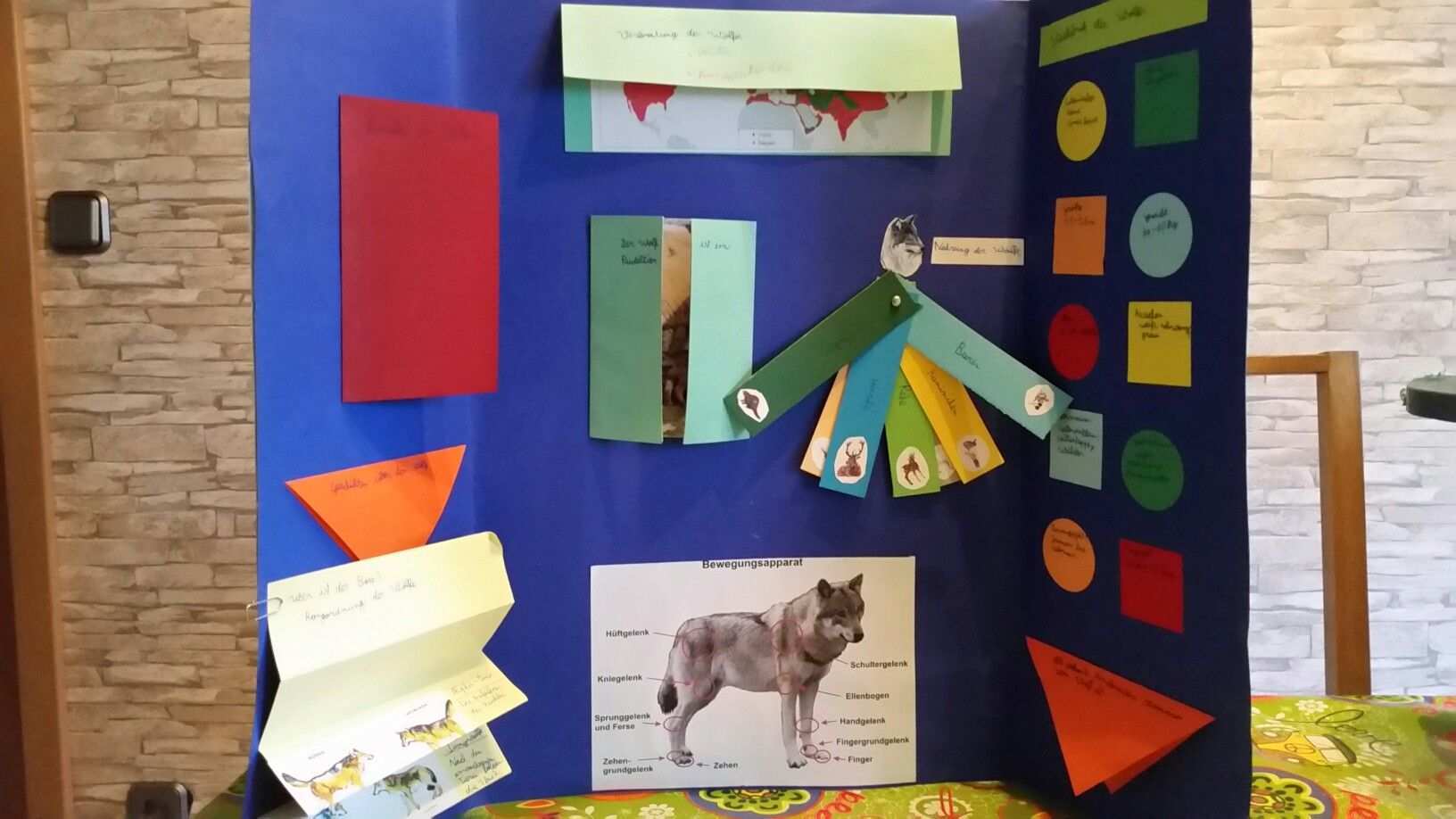 Lapbook Wolf Grundschule Volksschule Kinder