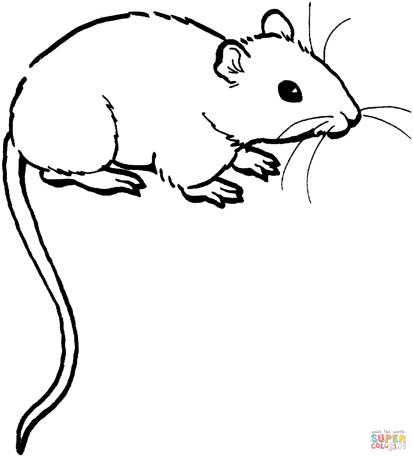 Rodent Coloring Pages 03 Gif 1357 1500 Lion Coloring Pages Cool Coloring Pages Mickey Mouse Coloring Pages