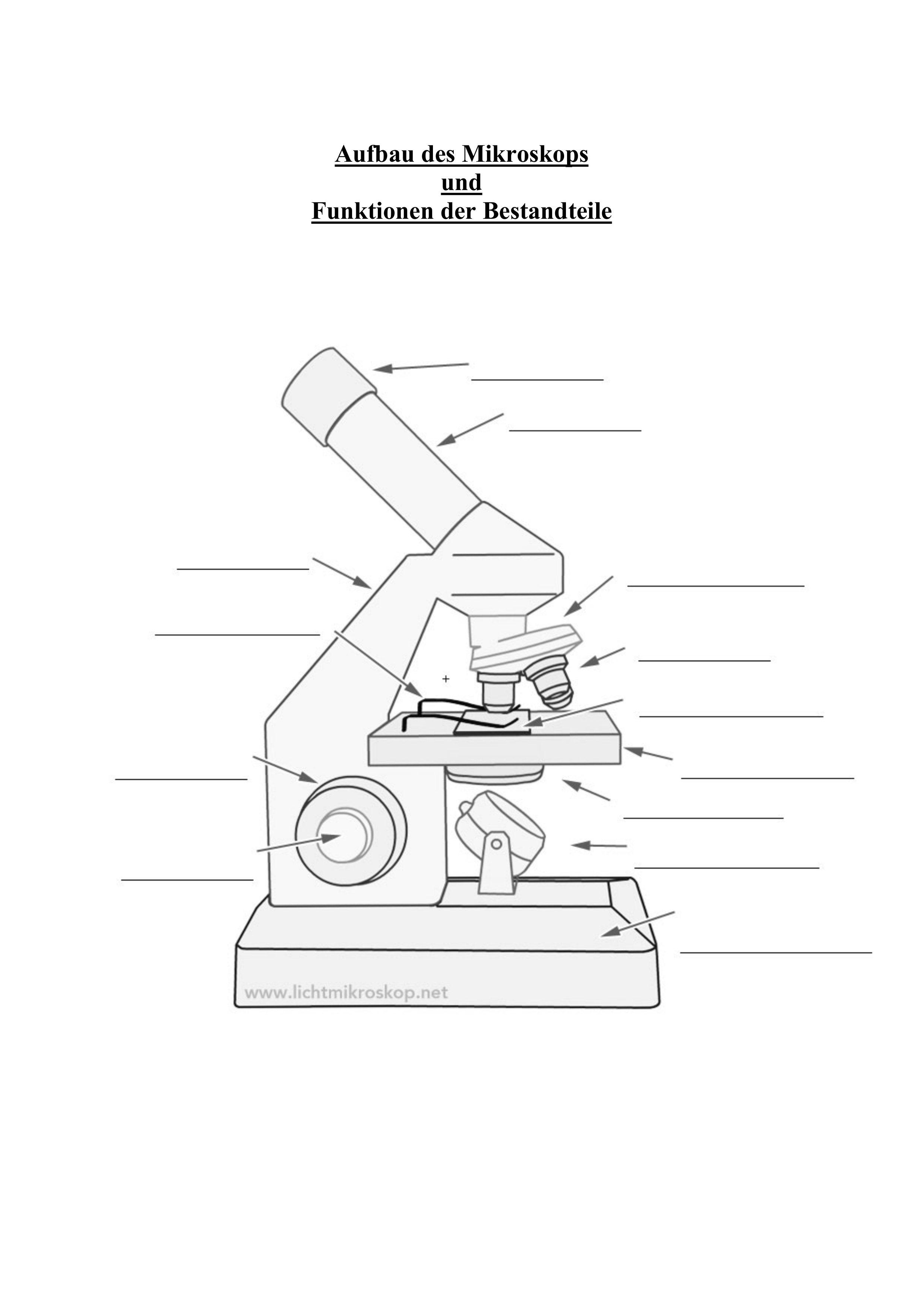 Arbeitsblatt Aufbau Und Funktionen Mikroskop Arbeitsblatter Mikroskop Sekundarschule