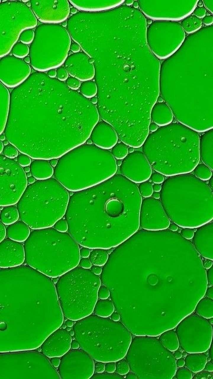 Pin By Hee Chin Lee On Zelyonyj Green Iphone Wallpaper Pattern Beautiful Wallpaper For Phone Wallpaper Backgrounds