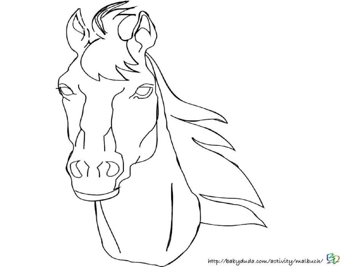 10 Grossartig Pferdekopf Malvorlage Idee 2020 In 2020 Pencil Drawings Drawings