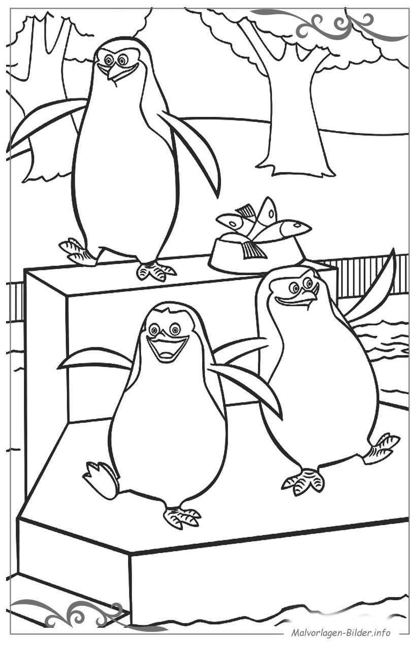 Die Besten Ausmalbilder Pinguine Beste Wohnkultur Bastelideen Coloring Und Frisur Inspiration Ausmalbild Pinguin Ausmalbilder Ausmalen