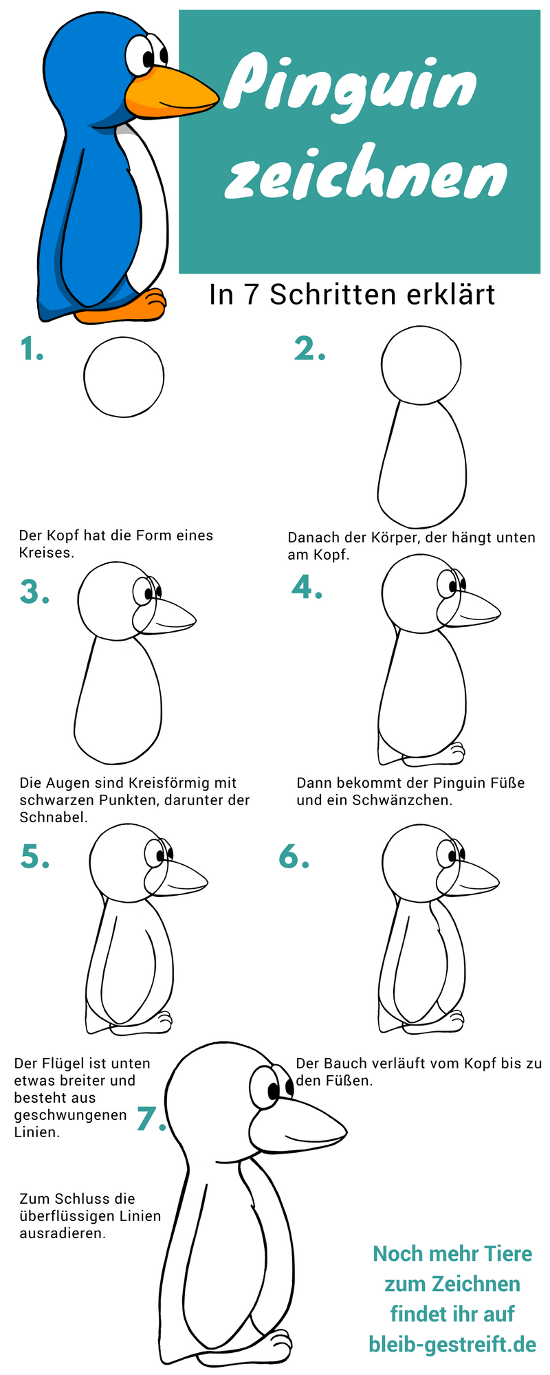 Pinguin Zeichnen Lernen Eine Einfache Anleitung Mit 7 Schritten Pinguin Zeichnen Zeichnen Lernen Pinguin Malen