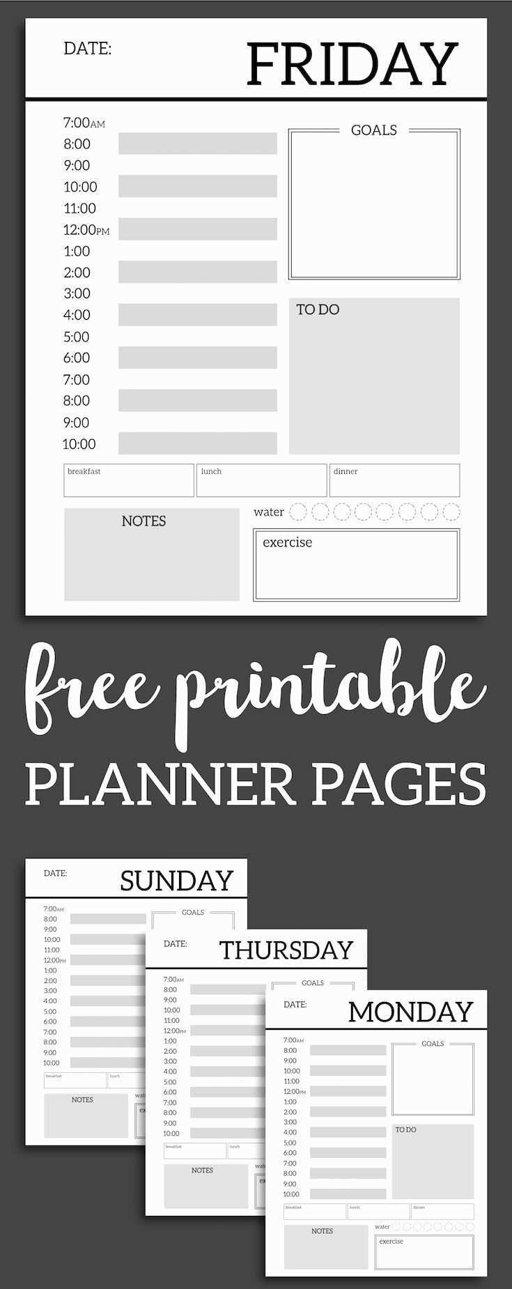 Lovely One Day Schedule Template Audiopinions Document Template In 2020 Daily Planner Template Ela Lesson Plan Template Planner Printables Free