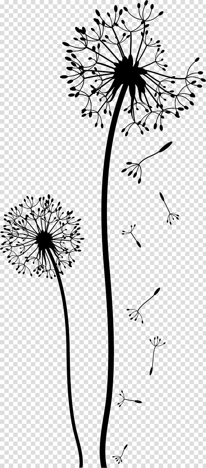 Dandelion Drawing Black And White Flower Wall Transparent Background Png Clipart Dandelion Drawing Dandelion Painting Flower Illustration