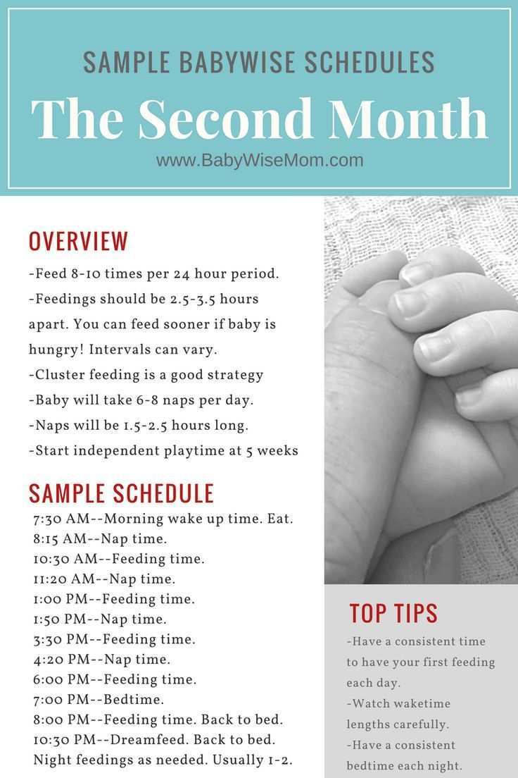 Sample Babywise Schedules The Second Month Babywise Mom Babywise Schedule Baby Sleep Schedule Baby Wise