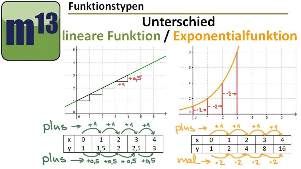 Unterschied Lineare Funktion Exponentialfunktion Youtube