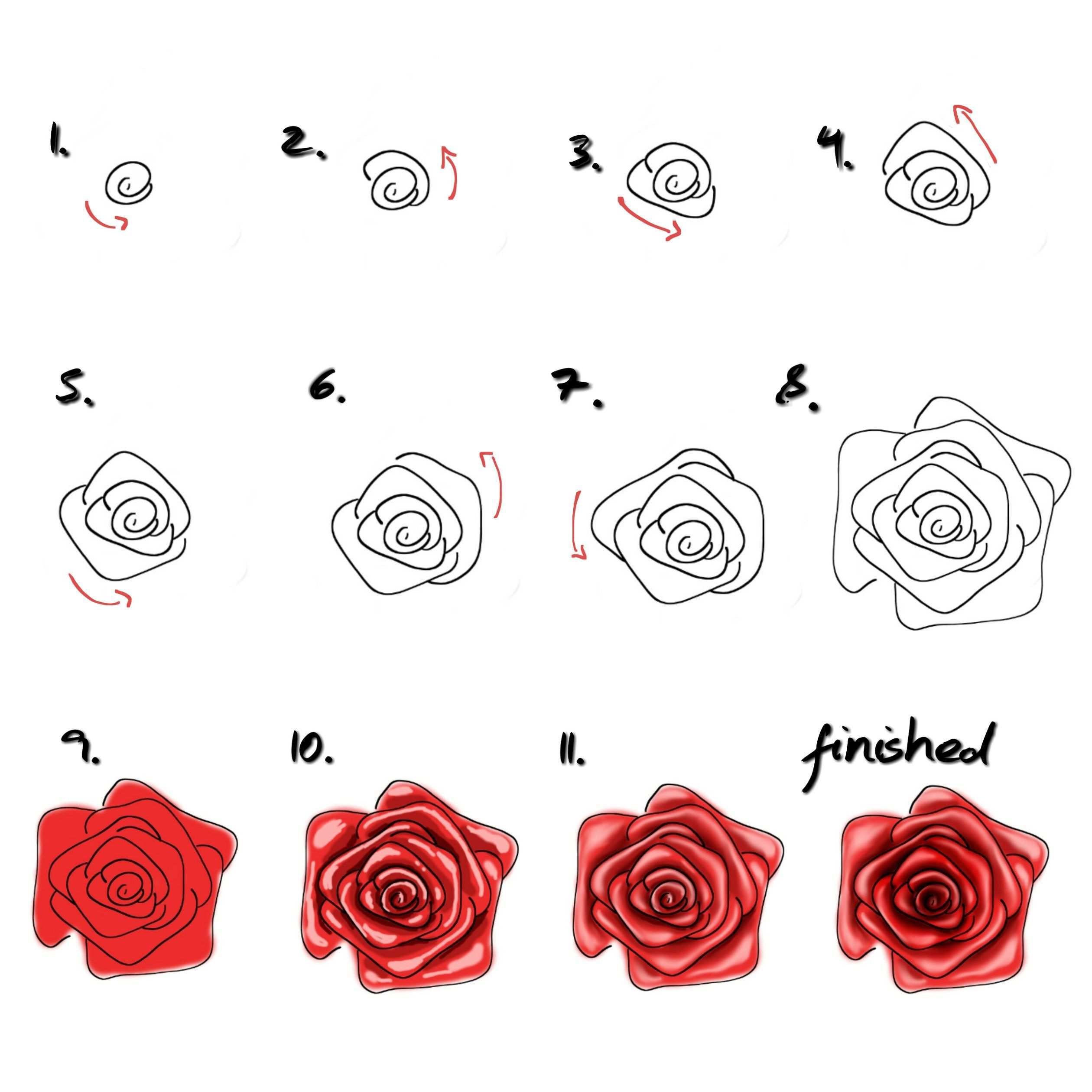 Rose Malen Fur Anfanger Einfaches Tutorial Malen Lernen Rose Malen Blumen Zeichnung Kurse Malen Fur Anfanger