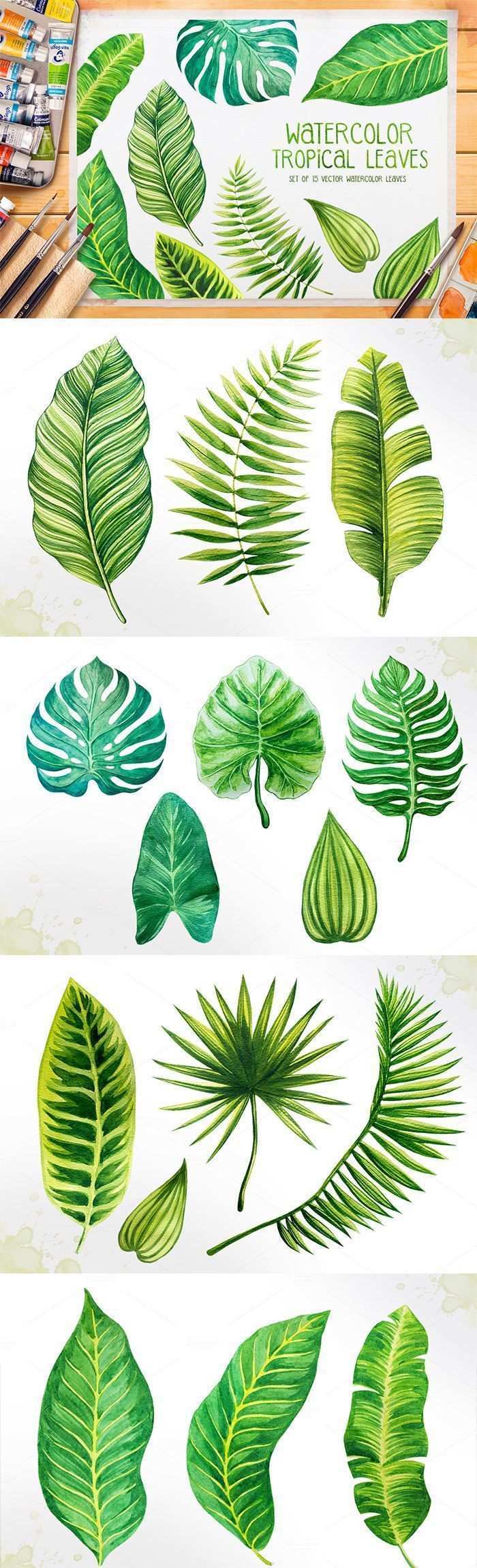Satz Von 15 Tropischen Blattillustrationen Des Aquarells Illustrationen Werden Von H Aqua Tropical Leaves Illustration Leaf Illustration Flower Drawing
