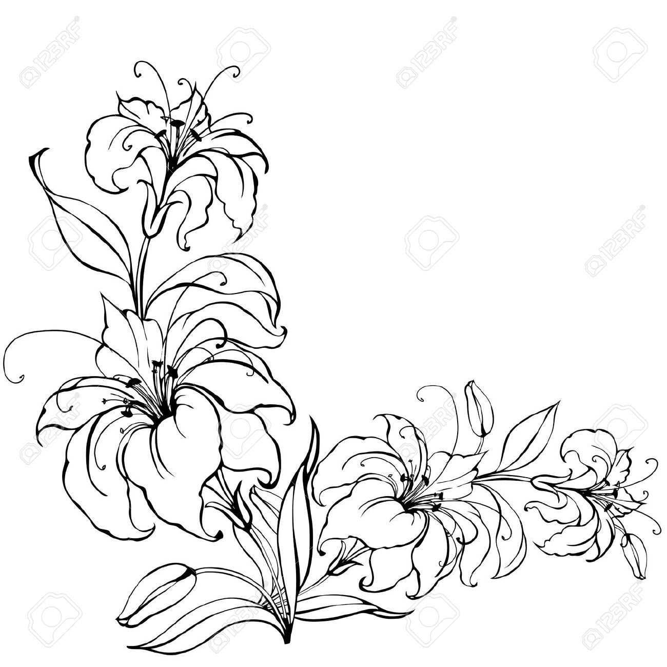 Lily Flower Blumenzeichnung Lilien Blumen Scherenschnitt Vorlagen
