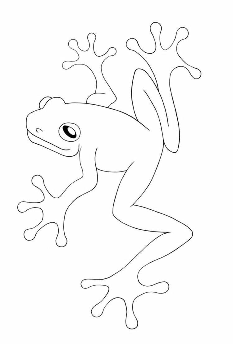 Zentangle Vorlagen Zum Ausdrucken Gratis 40 Bilder Zum Muster Malen In 2020 Frosch Malvorlagen Frosch Zeichnung Malvorlagen Fur Kinder
