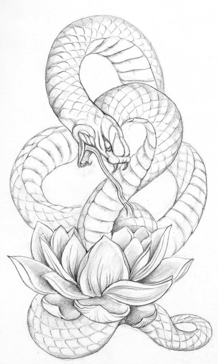 Image Result For Serpent Tattoo Illustration Schlange Tattoo Armeltatowierungen Zeichnen Ideen