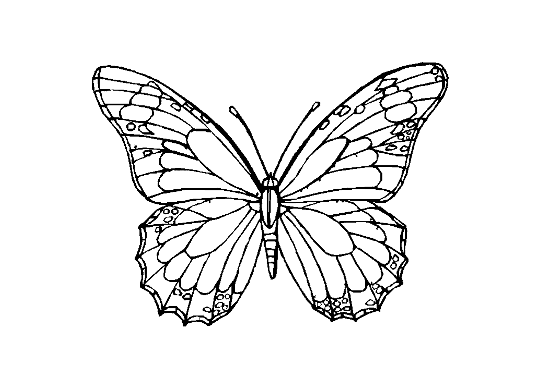 Hier Finden Sie Schone Schmetterlinge Ausmalbilder Als Pdf Vorlage Die Vorlagen Konnen Sie Ganz Ei Schmetterling Vorlage Malvorlagen Tiere Mandala Malvorlagen