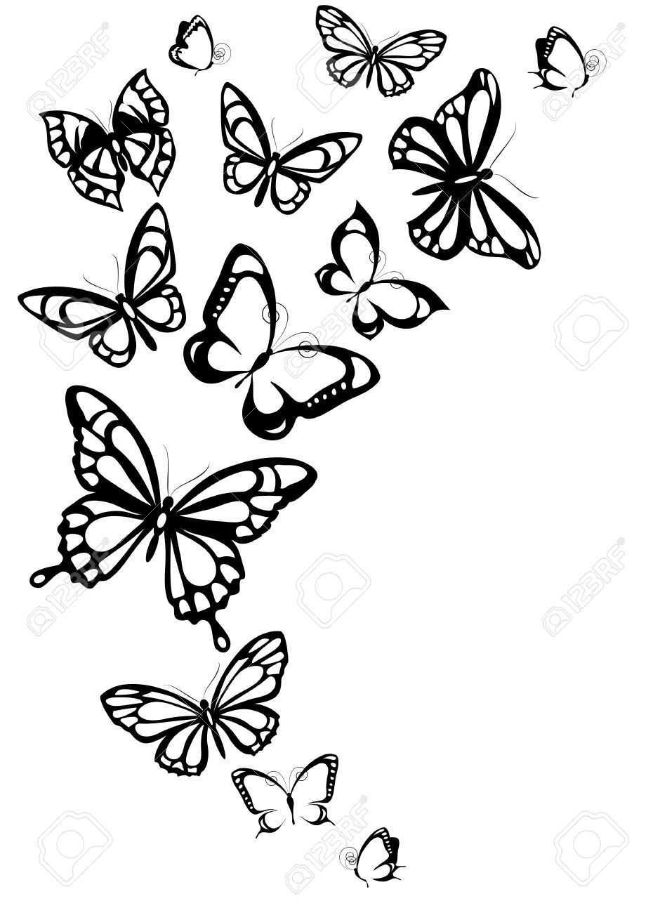 Schmetterlinge Design Schmetterlingszeichnung Schmetterling Zeichnen Schmetterling Tattoo Vorlage