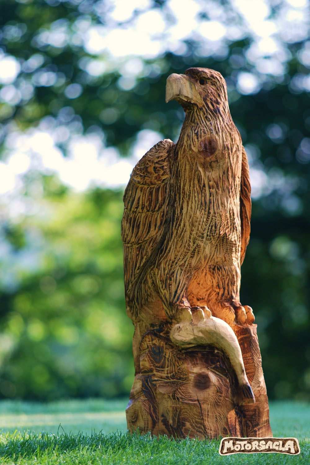 Adler Material Fichte Motorsage Holz Carving Eagle Chainsaw Schnitzen Motorsage Motorsagla Holz Schnitzen Baum Skulptur Schnitzen Mit Der Kettensage