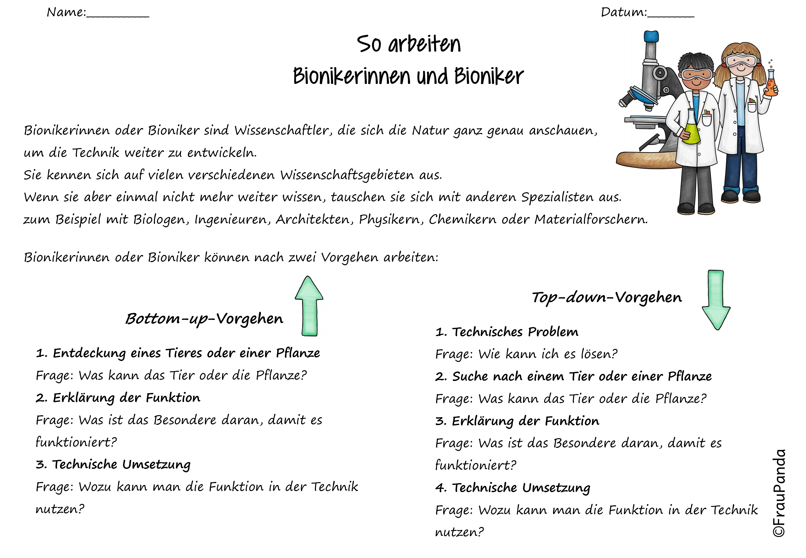 Bionik So Arbeiten Bionikerinnen Und Bioniker Unterrichtsmaterial In Den Fachern Biologie Sachunterricht In 2020 Bionik Biologie Unterrichtsmaterial