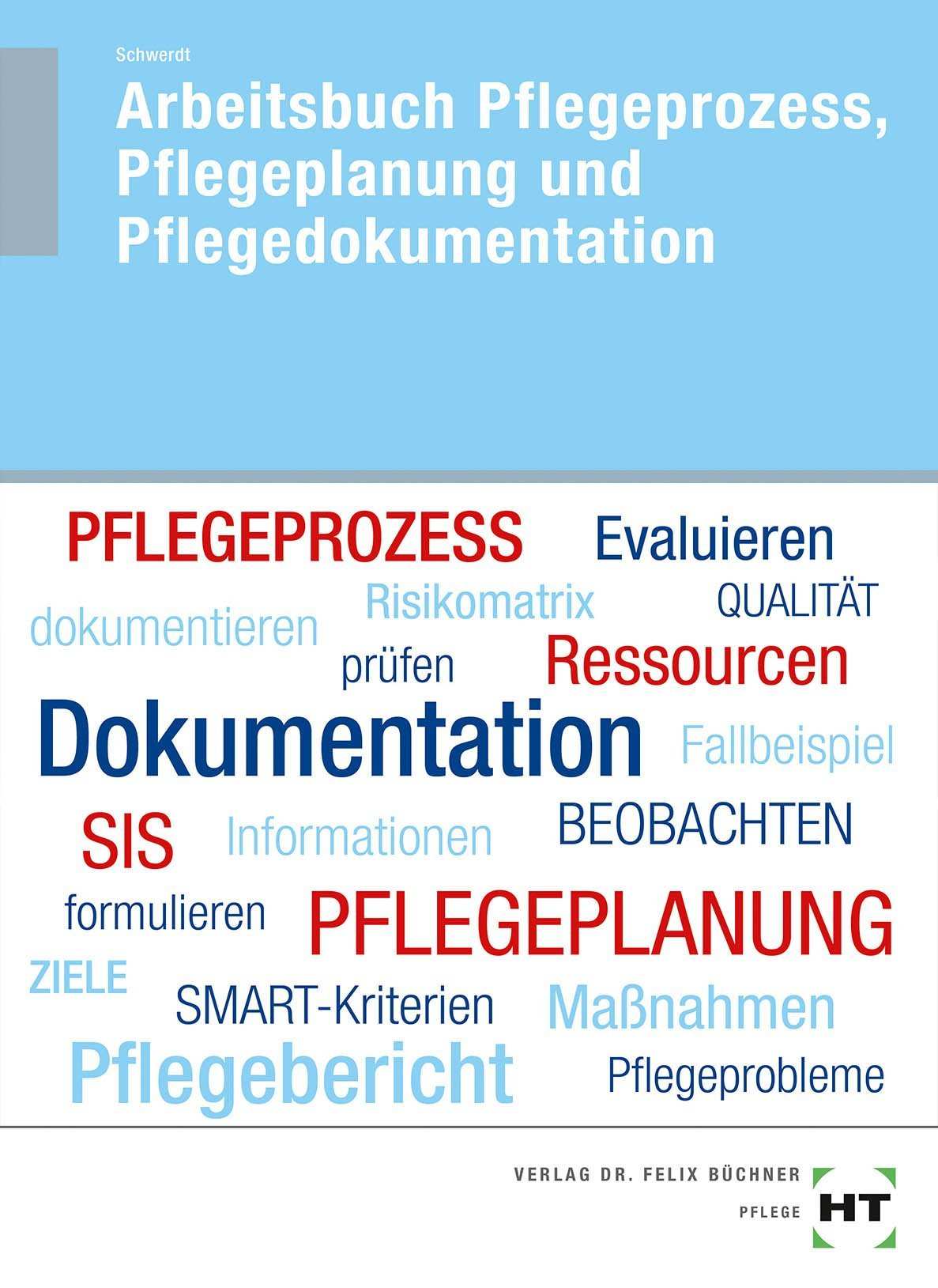 Arbeitsbuch Pflegeprozess Pflegeplanung Und Pflegedokumentation Amazon De Schwerdt Christine Bucher