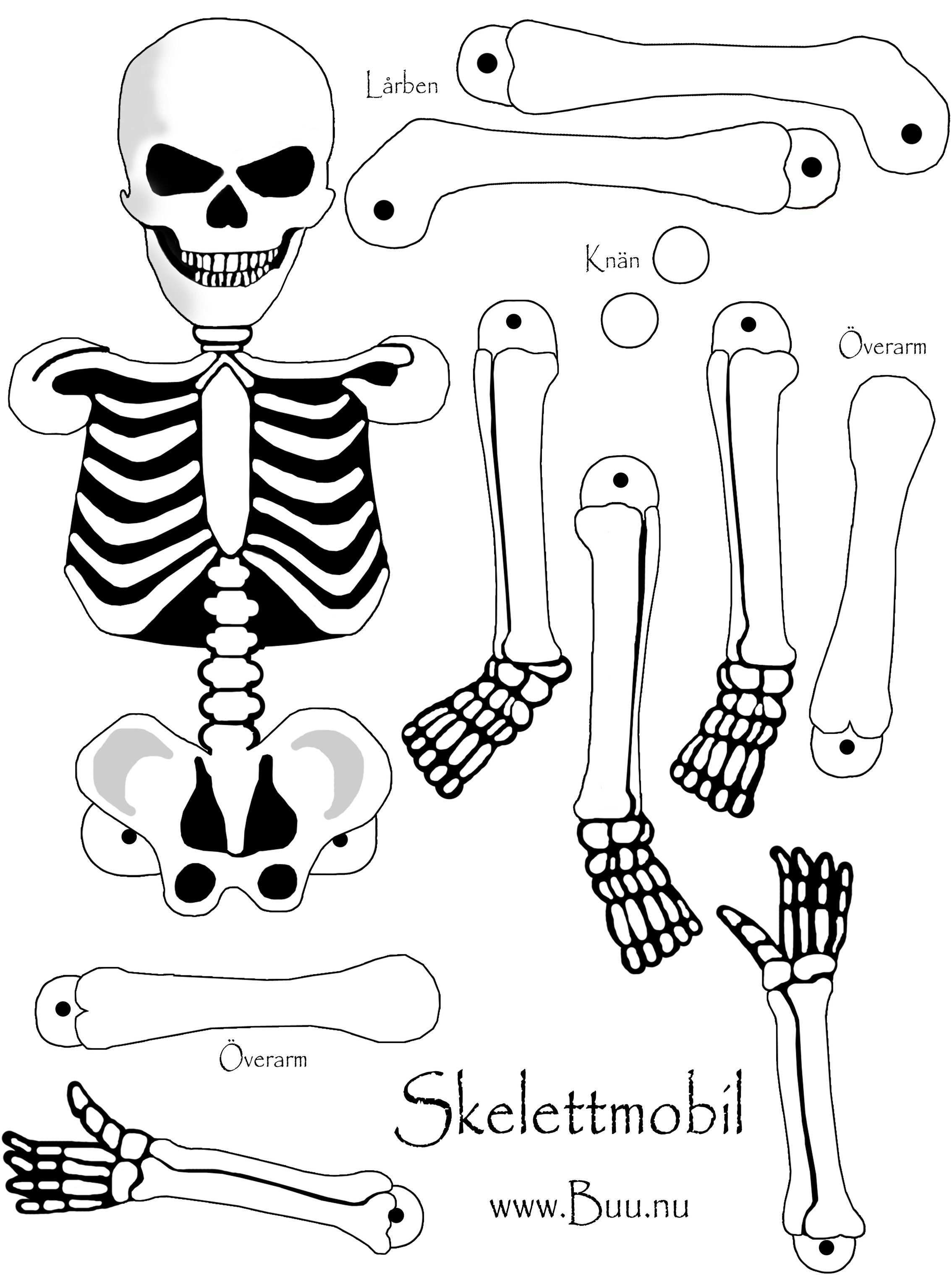 Skelettmobil Jpg 2268 3039 Halloween Pyssel Skelett Pyssel Halloween Laskig Halloween