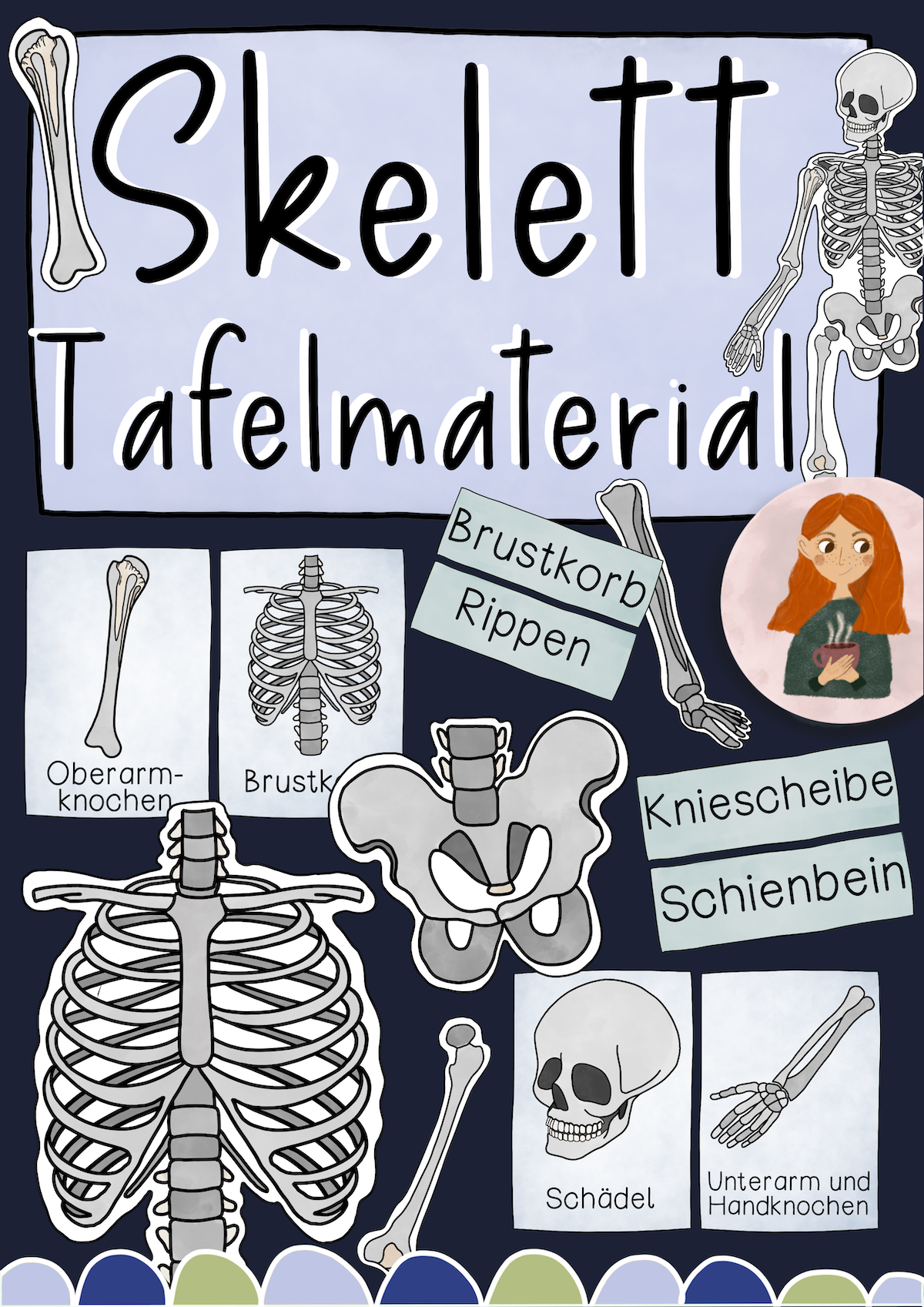 Das Skelett Tafelmaterial Bildkarten Und Textkarten Zu Allen Knochen Bildkarten Karten Farbiges Papier