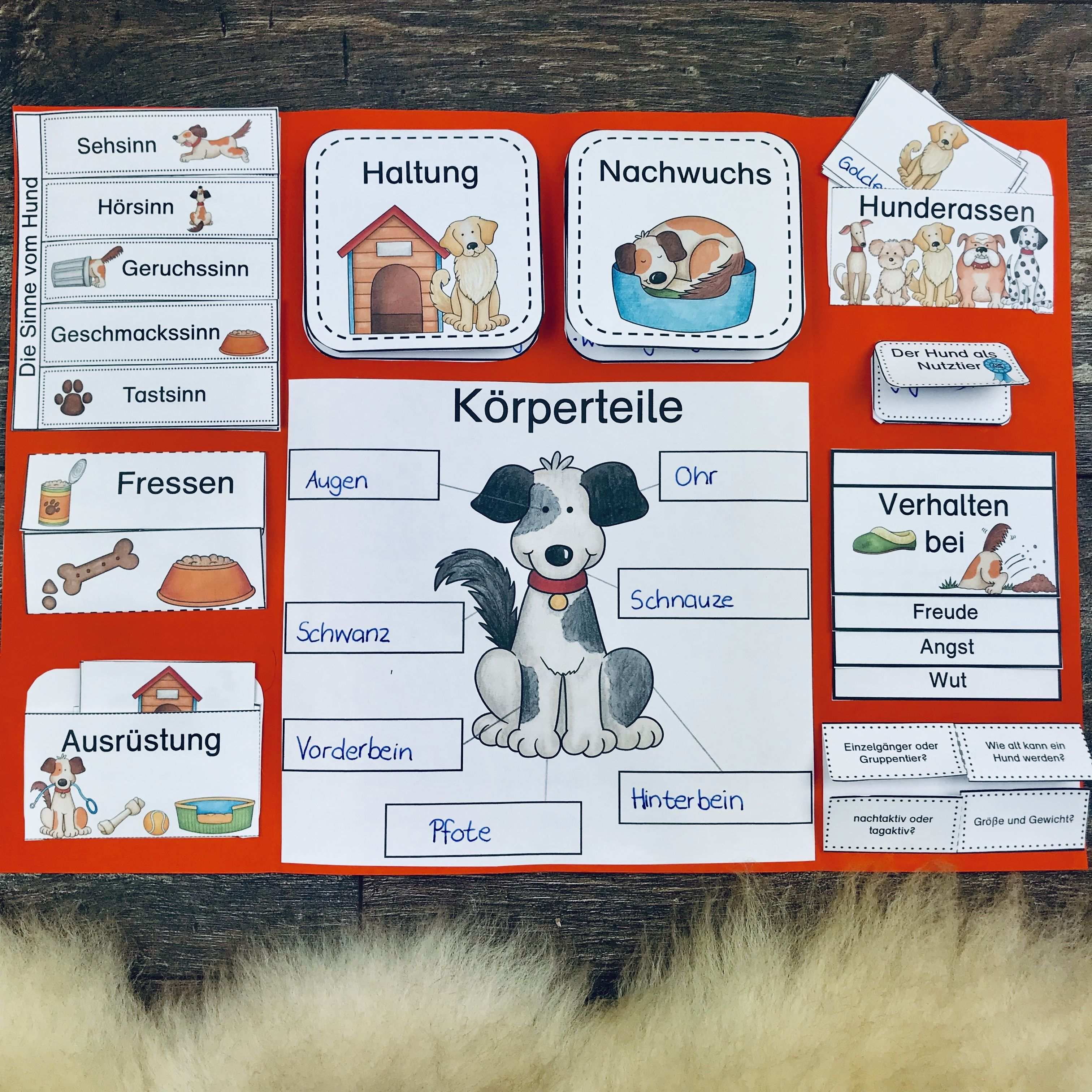 Paket Lapbook Karteikarten Zum Hund Unterrichtsmaterial Im Fach Sachunterricht Lernheft Tiergestutzte Padagogik Schulhund