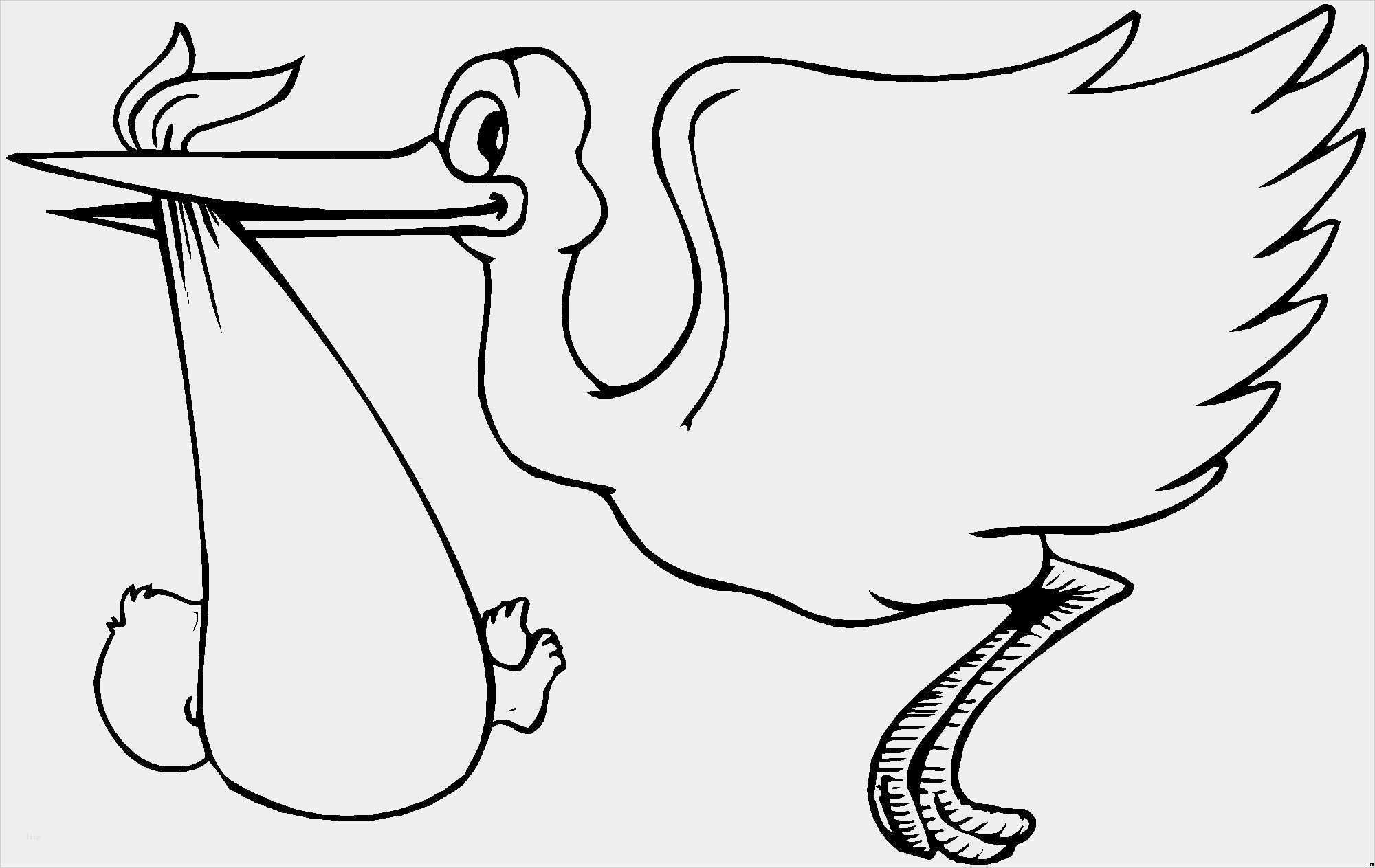 35 Genial Storch Schablonen Vorlagen Abbildung Zeichnung Ideen Bleistift Malvorlagen Schablonen Vorlagen