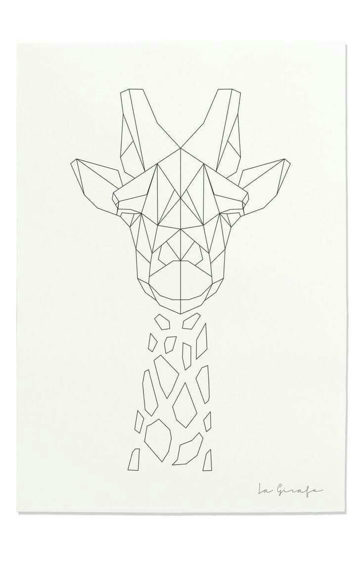 Pin By Emily Molczyk On Terrarium Geometric Drawing Animal Wall Art Nursery Animal Wall Art