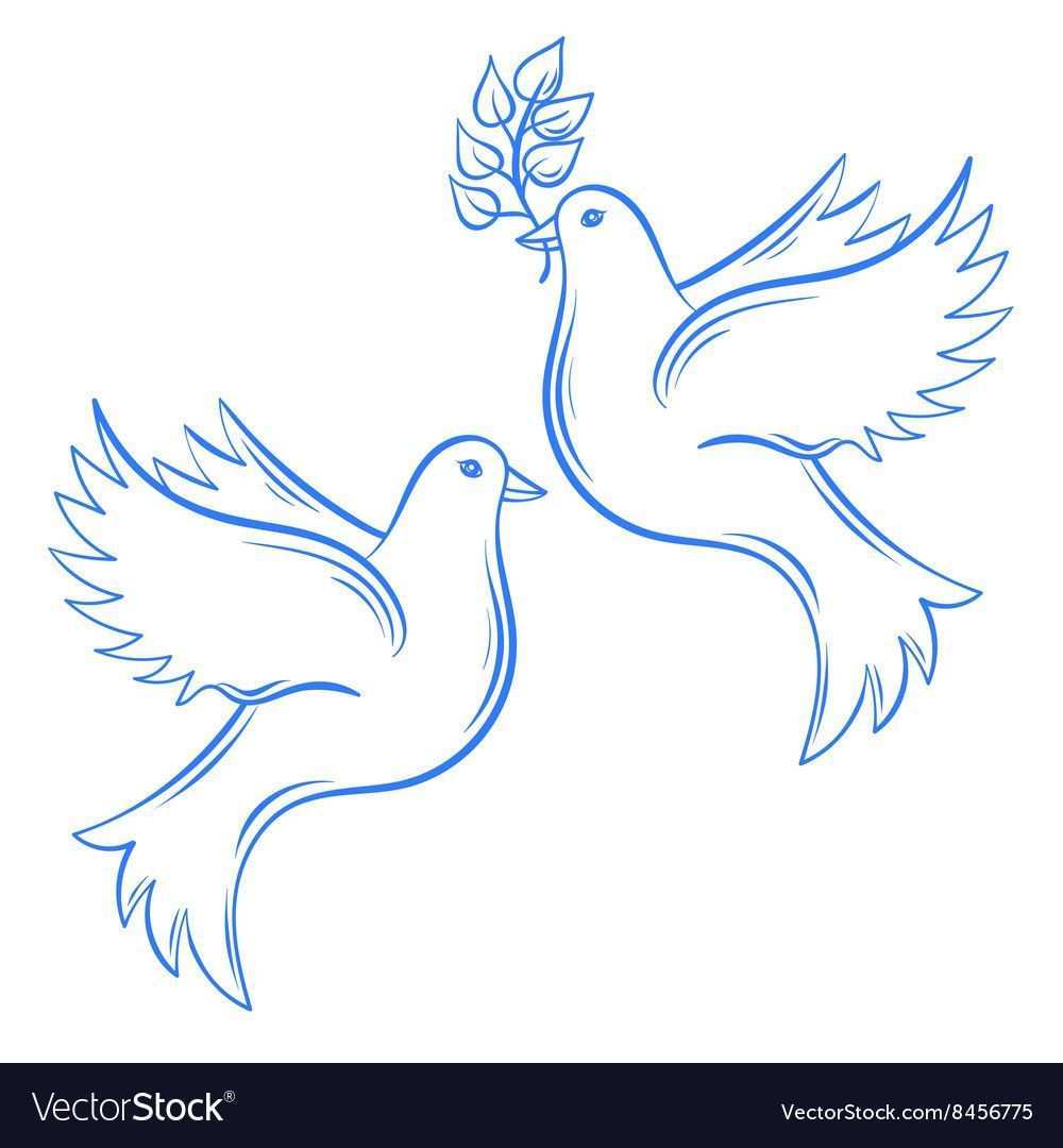 Vektortauben Ubergeben Sie Gezogene Friedenstaube Illustration Und Taube Mit Olzweig Taube Zeichnen Taube Zeichnung Vogel Zeichnen