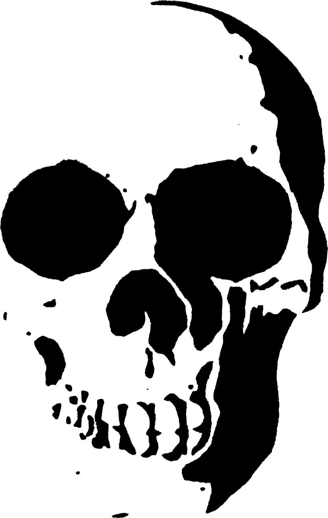 Skull Stencil Template Schadel Schablone Zeichenschablonen Stencil Vorlagen