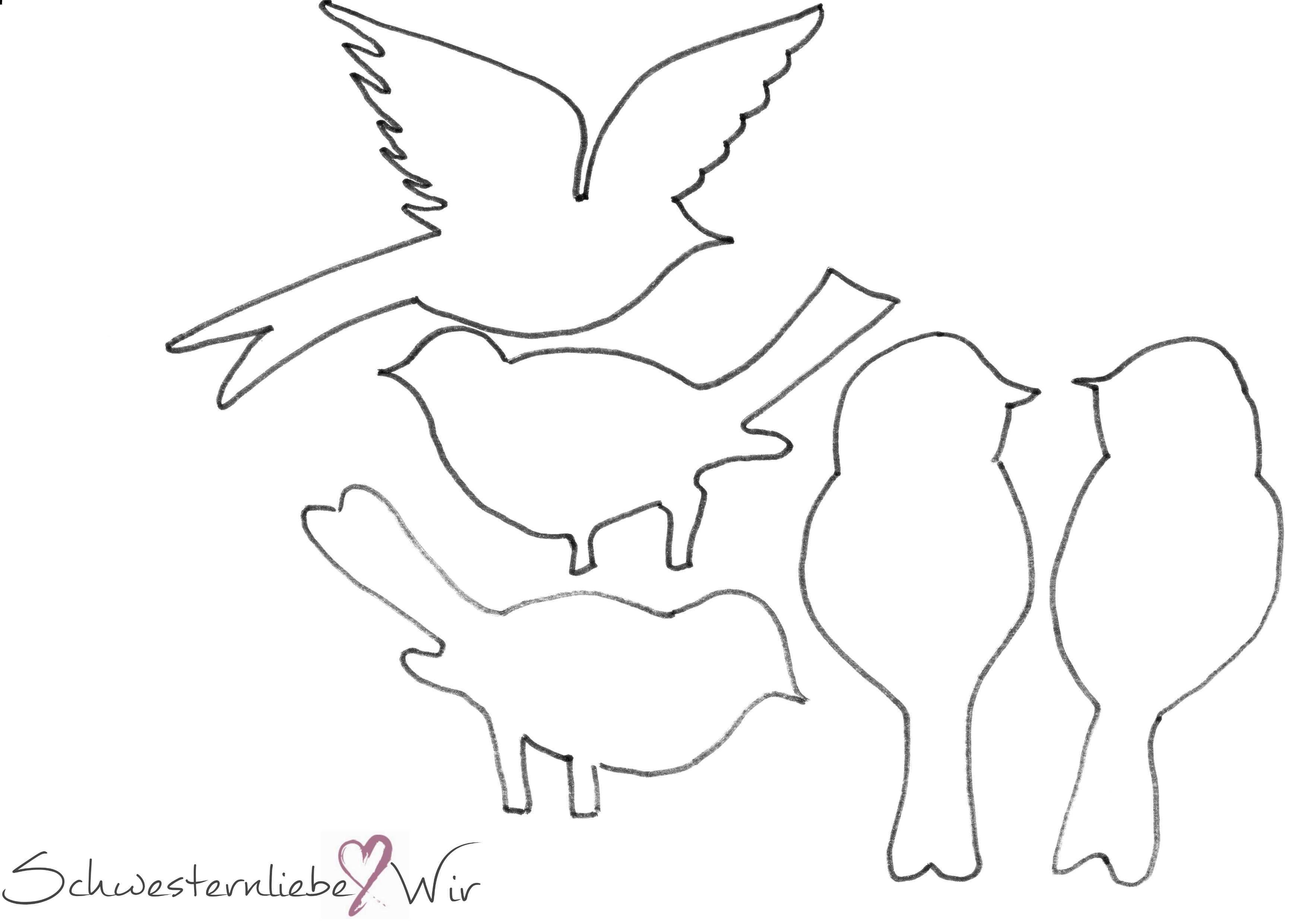 Druckvorlage Vogel Drucken Jpg 3 508 2 480 Pixel Vogel Vorlage Susse Tiere Zeichnen Basteln Fruhling Kinder