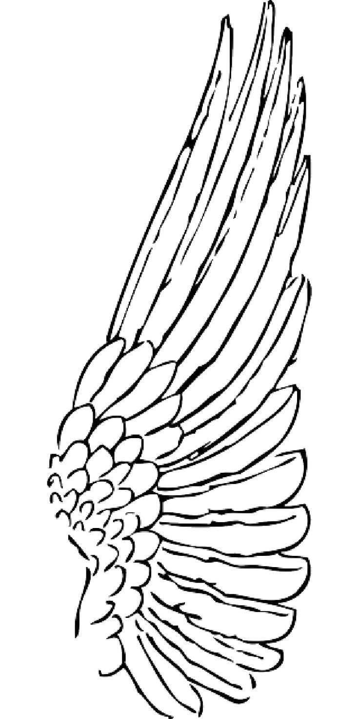 Umriss Feder Engel Vogel Vogel Flugel Flugel Public Domain Angel Wings Art Engelsflugel Zeichnung Engel Zeichnung