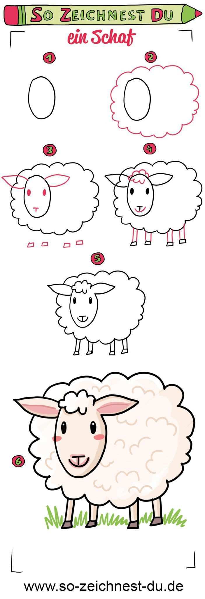 So Zeichnest Du Ein Schaf Einfach Zeichnen Lernen Fur Kinder Schaf Zeichnen Schildkrote Zeichnen