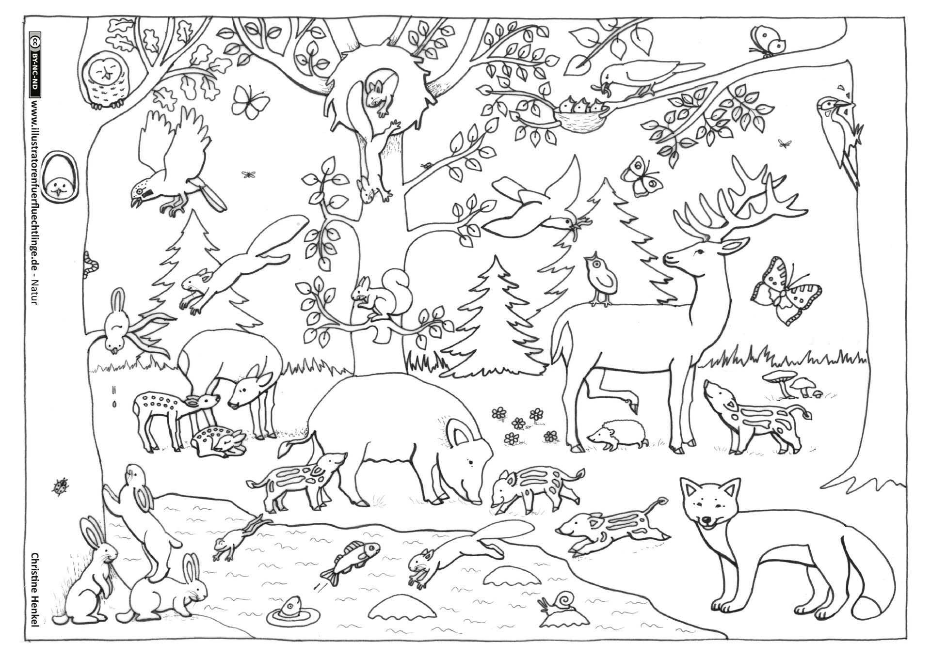 Natur Wald Herbst Tiere Malvorlage Kindergarten Natur Erkunden Im Idee Neu 20 Ausmalbilder Tiere Im Win Malvorlagen Tiere Tiere Des Waldes Ausmalbilder Tiere