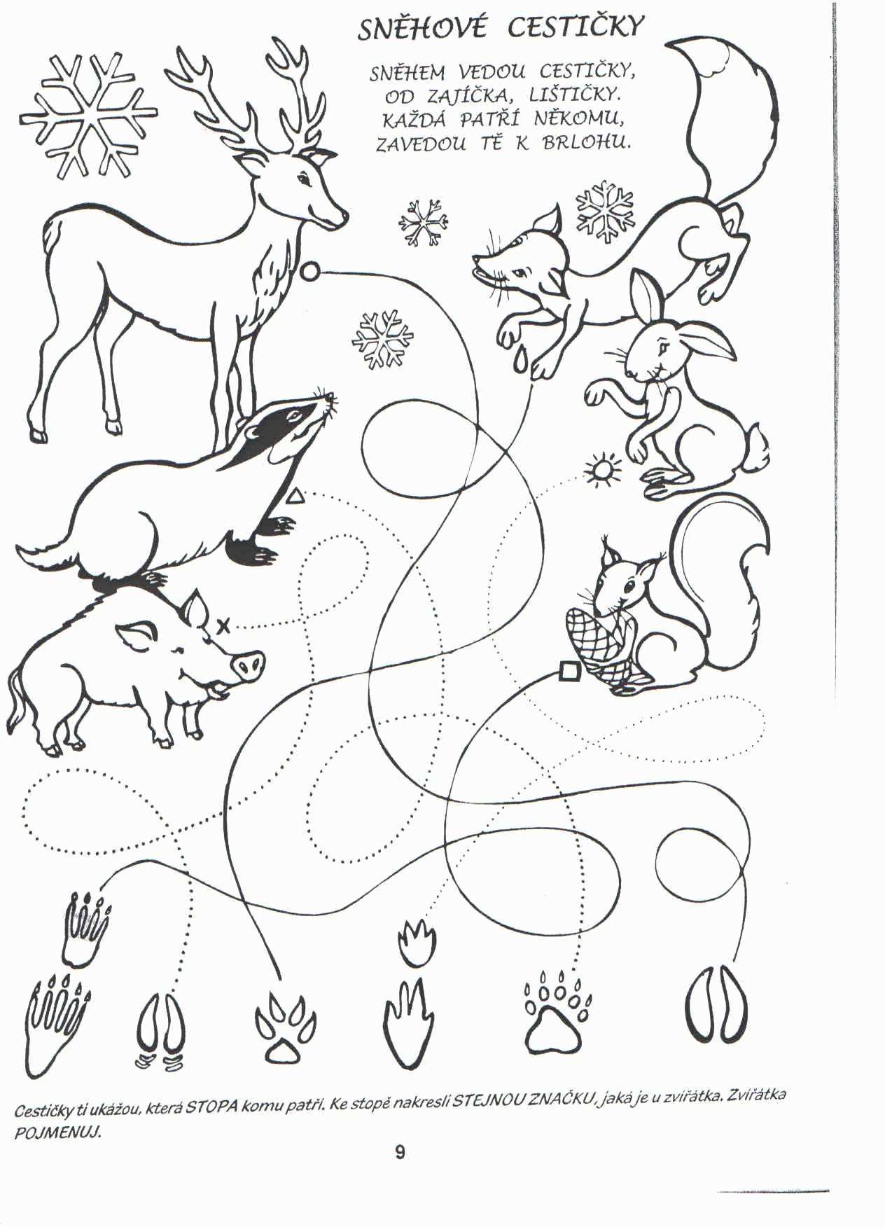 Science Coloring Pages For Kindergarten Awesome Ka Emlek A Vochoma Rka Chaloupka Hledat Googlem In 2020 Malvorlagen Waldtiere Schulideen