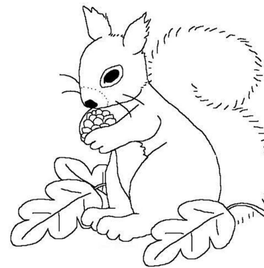 Pin By Martina Melicherikova On Centre Fall Coloring Pages Preschool Art Projects Coloring Pages